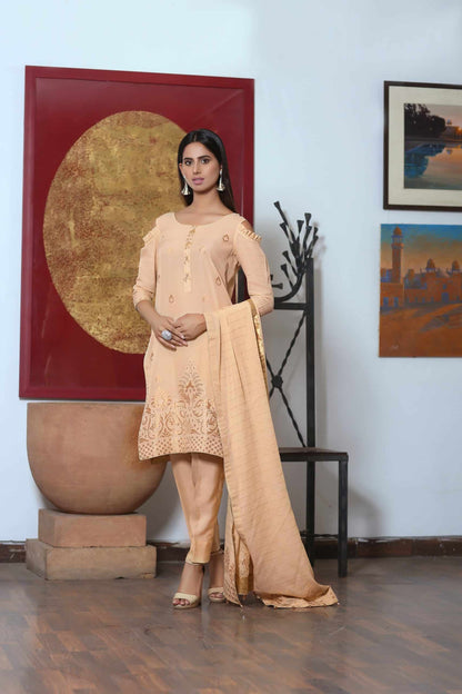Banarsi Skin Suit -SRB26