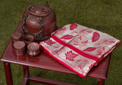 Pink autumn Saree - kg1362