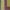 Handloom 3 Piece Suit Color Varieties – BG0306-1