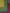 Pure Bemberg Cotton 3 Piece Suit Color Varieties – BG0331