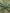 Traditional Japanese Pattern Loose Fabric - Jal48