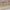 Cotton Kicha Unstitched Suit with Multi Floral Motifs – BBHQ01